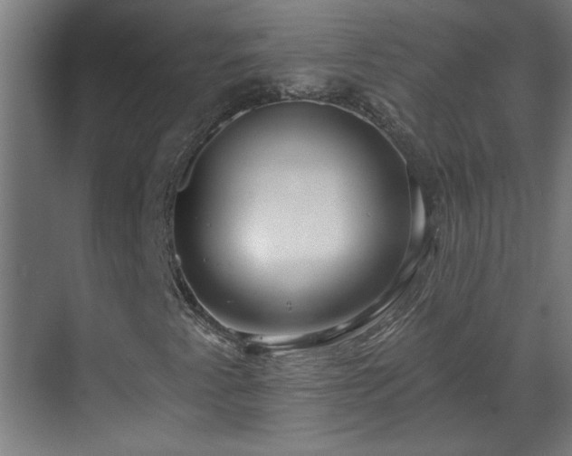X0000070821345200606191212