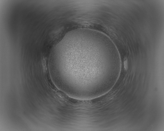 X0000070821347200606191212