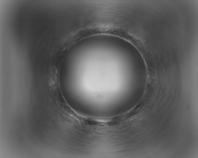 X0000070821349200606191212