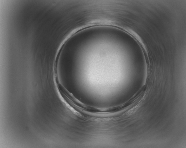 X0000070821389200606191211