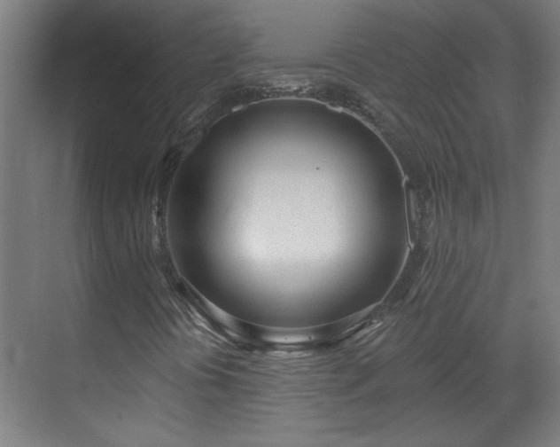 X0000070821394200606191210