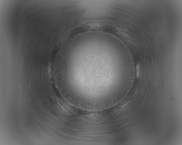 X0000070821395200606191210