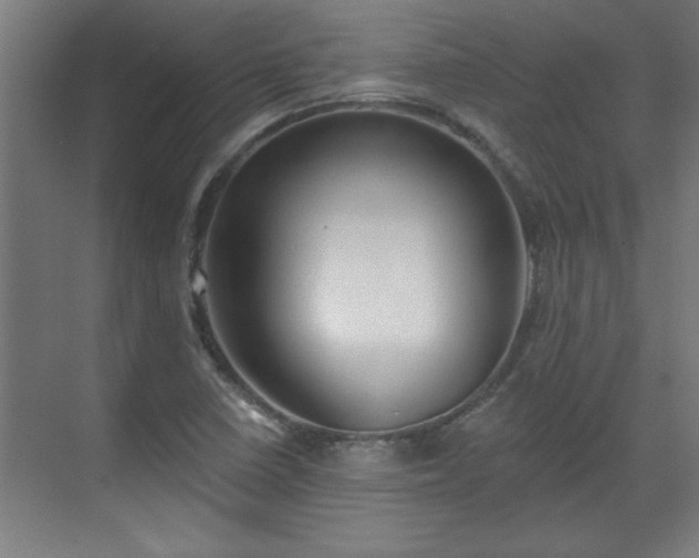 X0000070821410200606191210