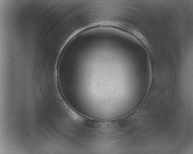 X0000070821428200606191211