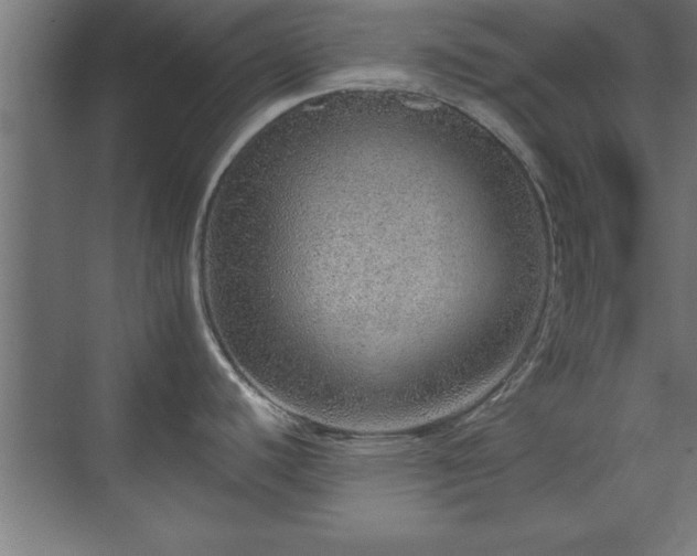 X0000070821440200606191211