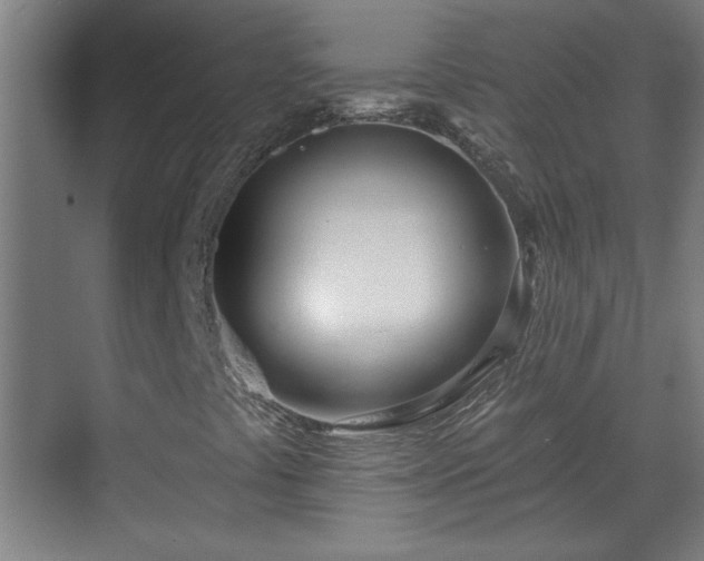 X0000070821441200606191210