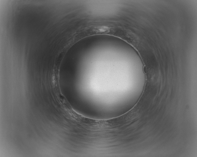 X0000070821442200606191210