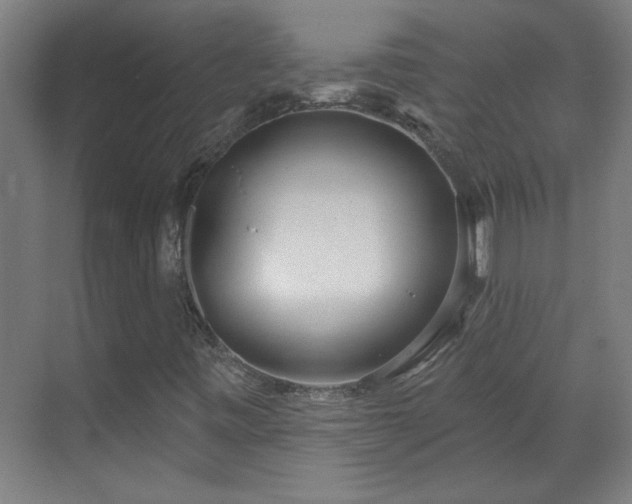 X0000070821443200606191210