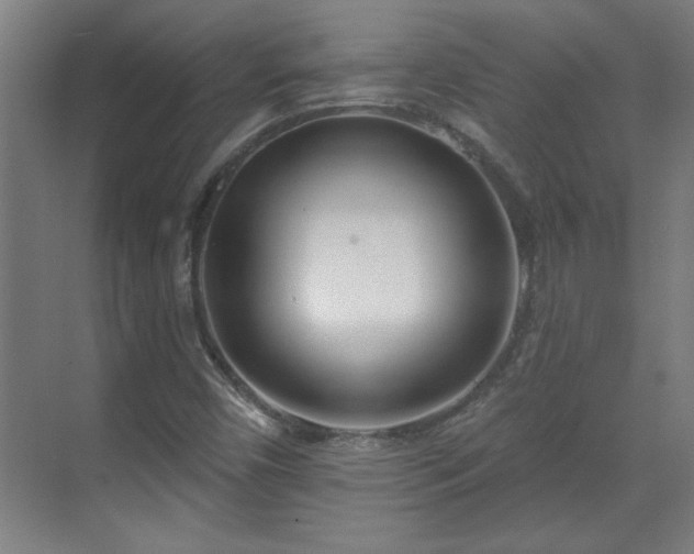 X0000070821450200606191210