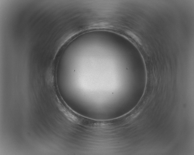 X0000070821458200606191210