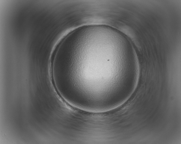 X0000070821472200606191209