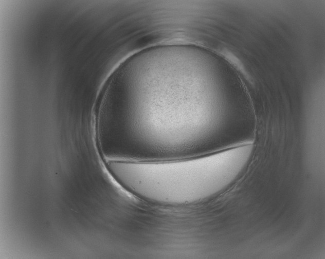 X0000070821476200606191209