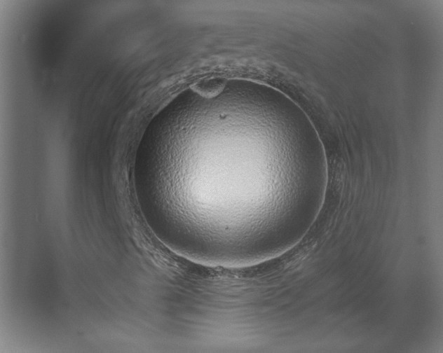 X0000070821489200606191208