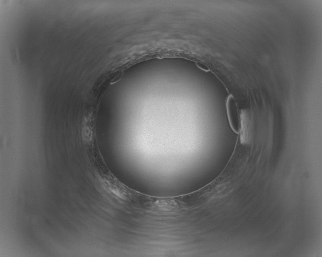 X0000070821491200606191208