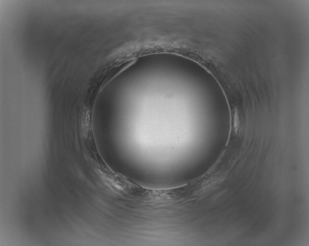 X0000070821492200606191208