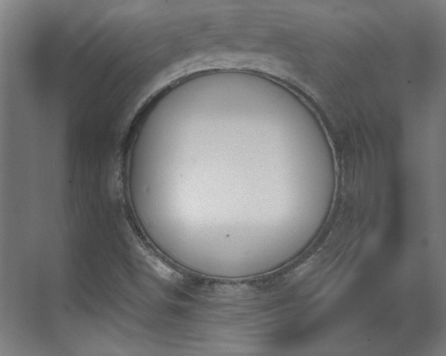 X0000070821498200606191209