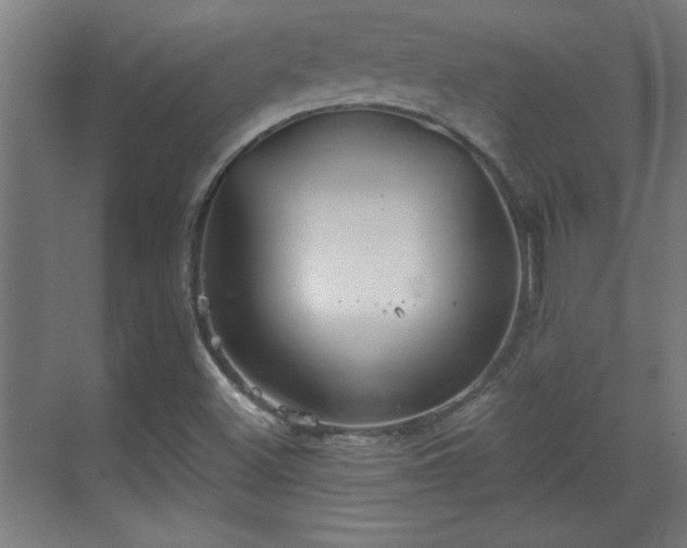 X0000070821500200606191209
