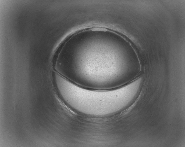 X0000070821502200606191209