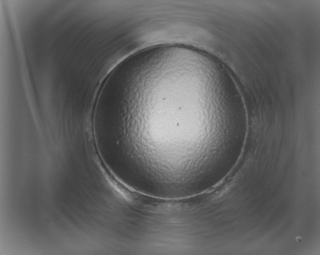 X0000070821521200606191209