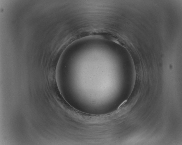 X0000070820044200606230932