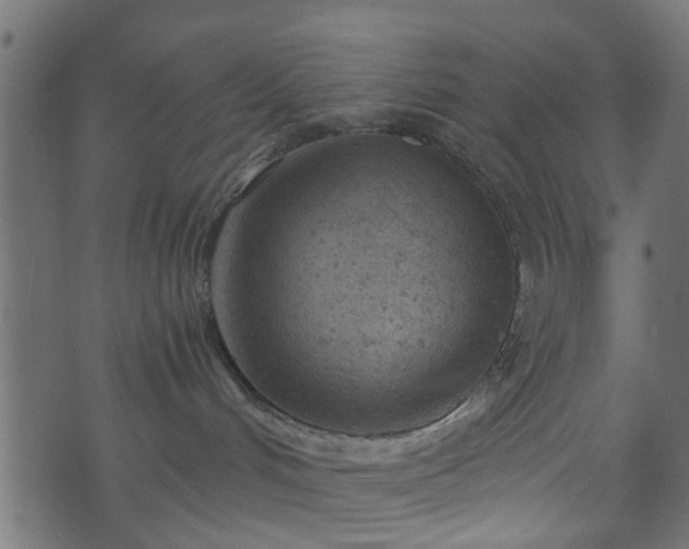 X0000070820048200606230932