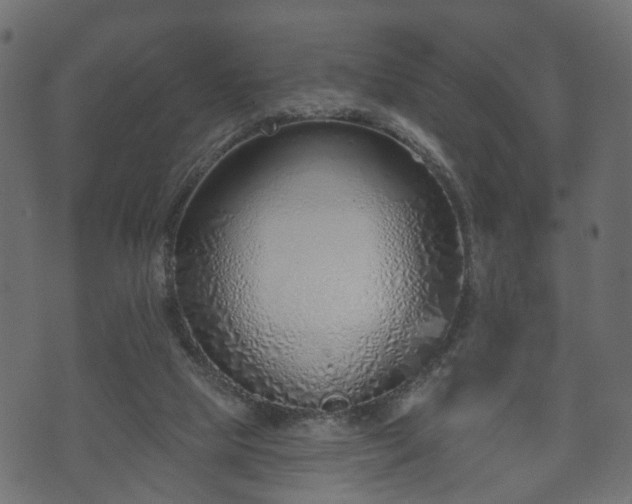 X0000070820065200606230932