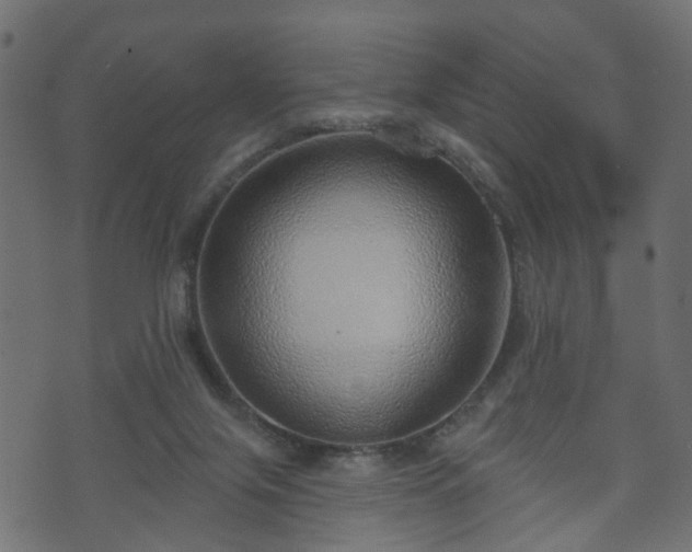 X0000070820071200606230932