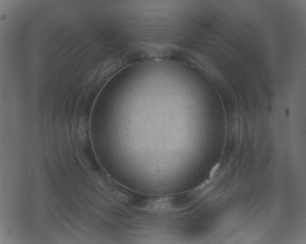 X0000070820078200606230932