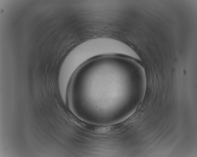 X0000070820084200606230932