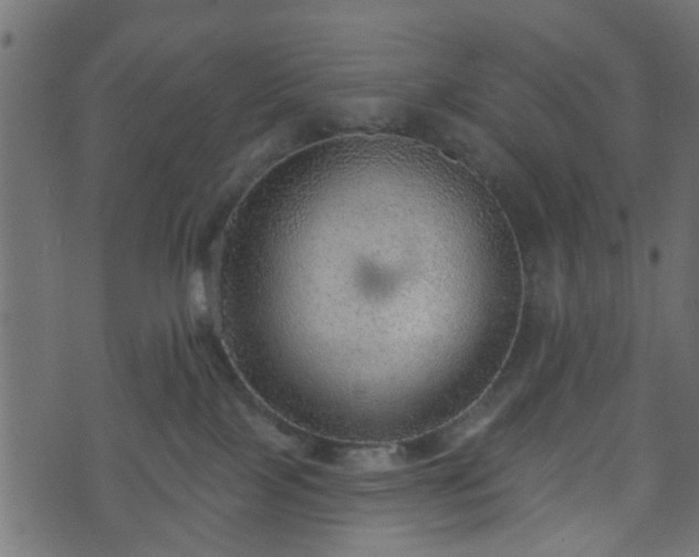 X0000070820089200606230932