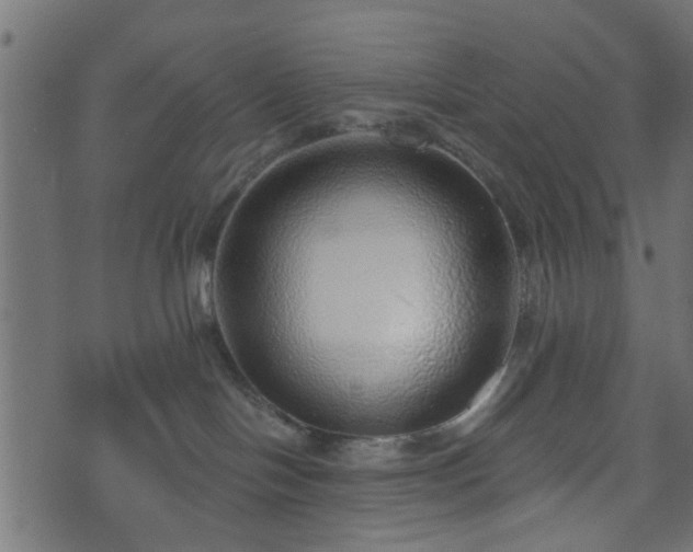 X0000070820094200606230932