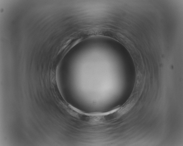 X0000070820096200606230932