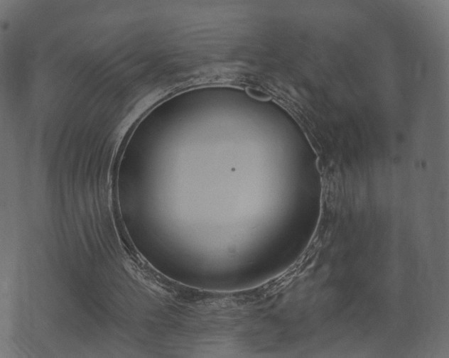 X0000070820100200606230931