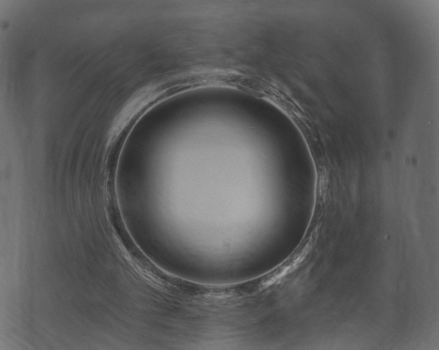 X0000070820101200606230931