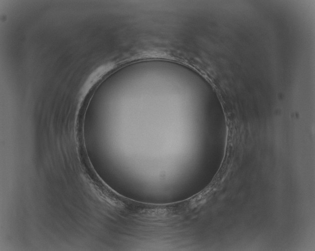 X0000070820104200606230931
