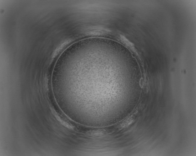 X0000070820106200606230931