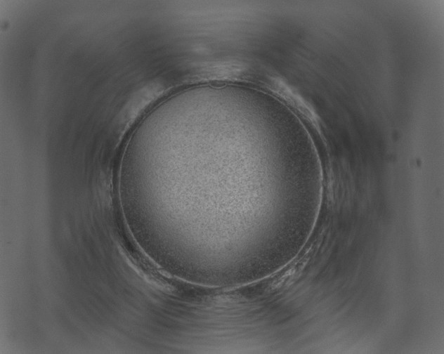 X0000070820107200606230931