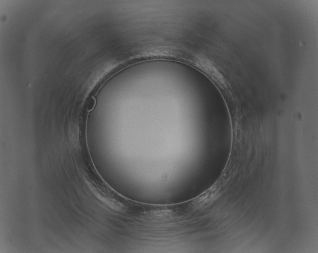 X0000070820108200606230931