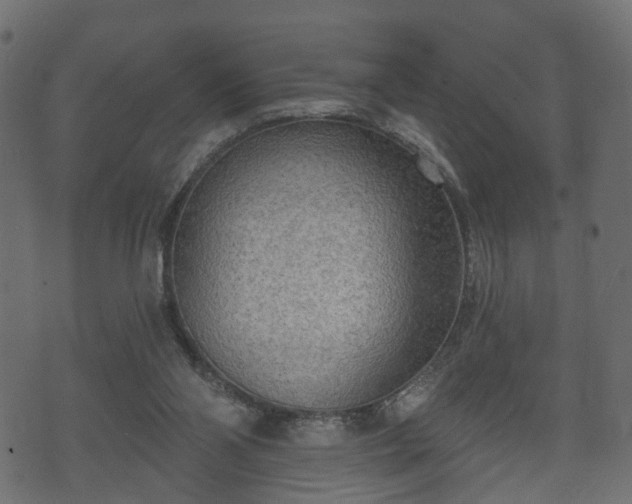 X0000070820110200606230931