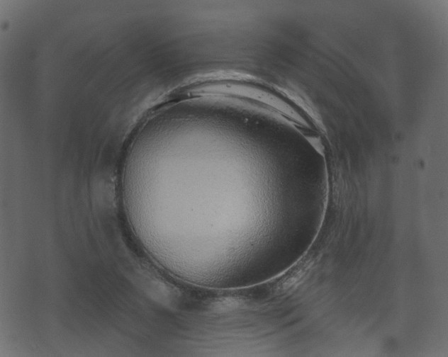 X0000070820111200606230931