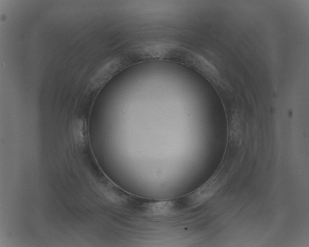 X0000070820122200606230931