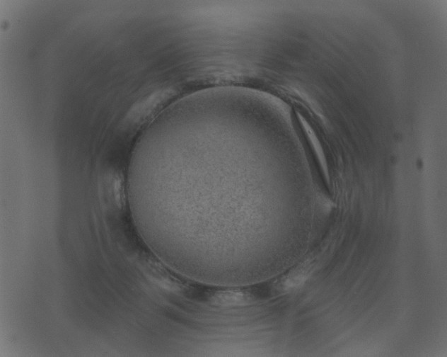 X0000070820123200606230931