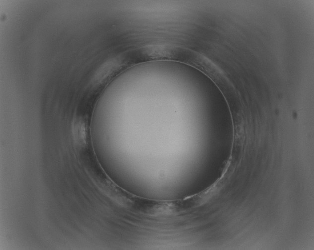 X0000070820124200606230931