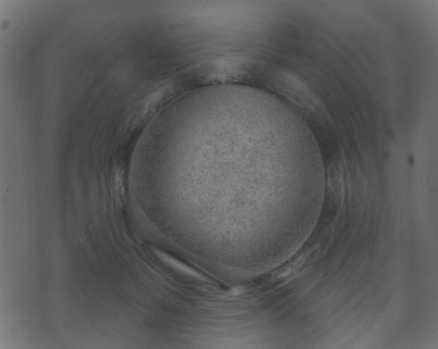 X0000070820127200606230931