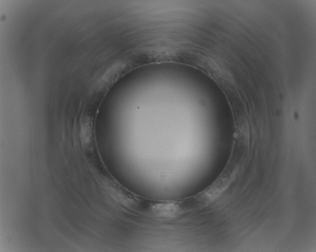 X0000070820133200606230931