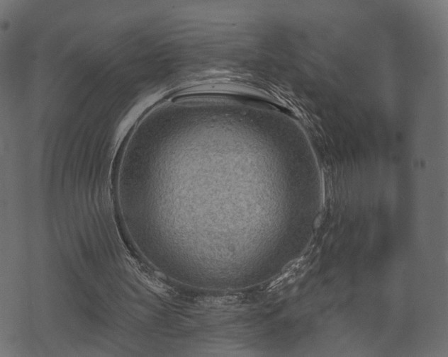 X0000070820147200606230930