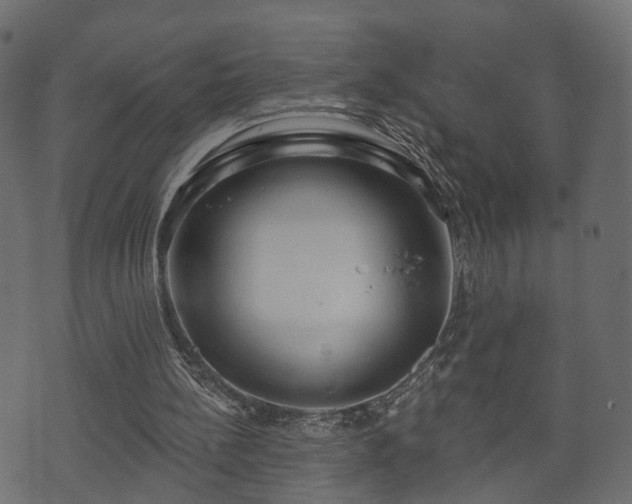 X0000070820148200606230930