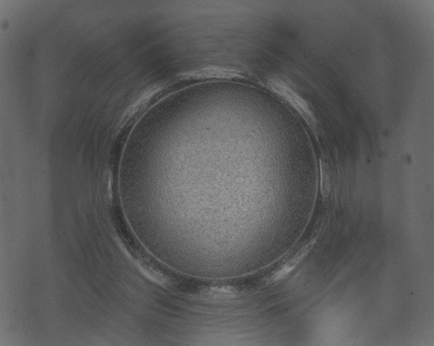 X0000070820157200606230930