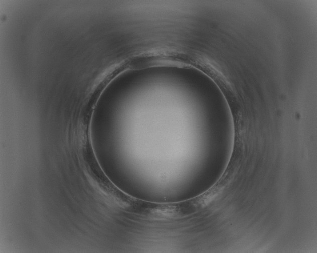 X0000070820164200606230930