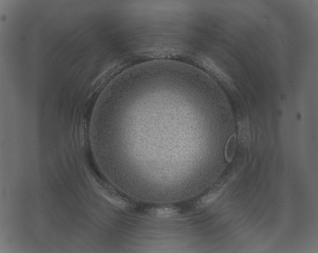 X0000070820165200606230930